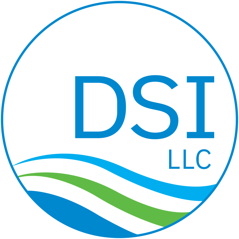 DSI LLC logo